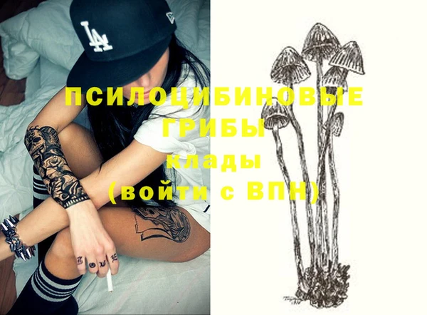 ECSTASY Абаза