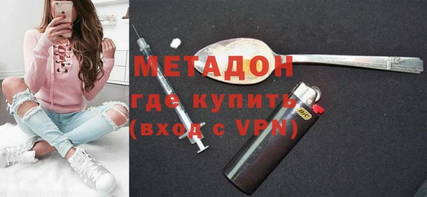 индика Алексин